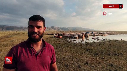 Van'da sağanak yağmur arı kovanlarını vurdu