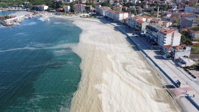 Prof. Dr. Tecer: Marmara Denizi'nde su sıcaklığı 2,5 derece arttı; müsilajı tetikleyecek