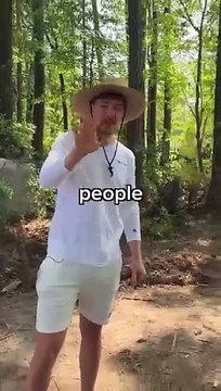 Mr beast in forest and giving challenge