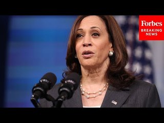 How Swing Voters Feel About Vice President Kamala Harris: Top Pollster Explains