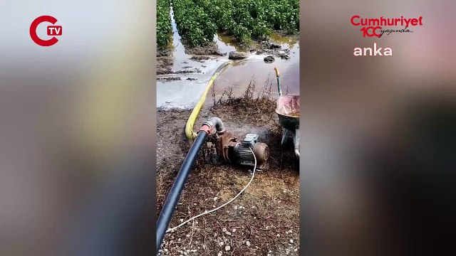 Samsun'da kuvvetli yağış, Bafra Ovası'ndaki tarım alanlarına zarar verdi...CHP Samsun İl Başkanı Özdağ: Herhangi bir önlem alınmamış