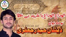 Alvidah alvidah ya shaheed e bay khutaa, Urdu Noha, Zeeshan haider jaffary