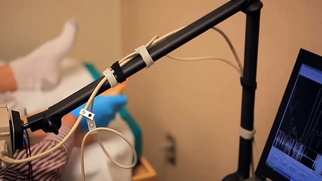 Reason Behind EELS Fish Discharge Electricity Explained with 3D Animation... Eel Fish