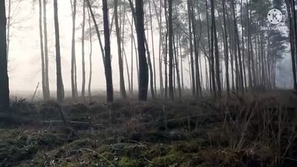 1_39 minute guide meditation_relaxing body and mind music Therapy               #inner peace