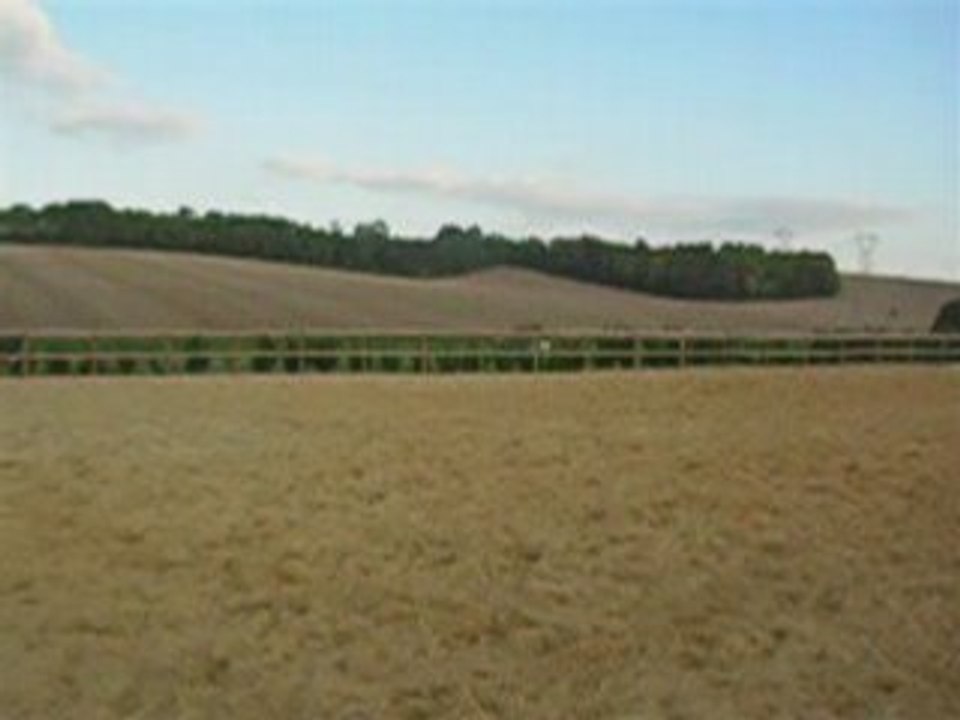 Carrière_0002