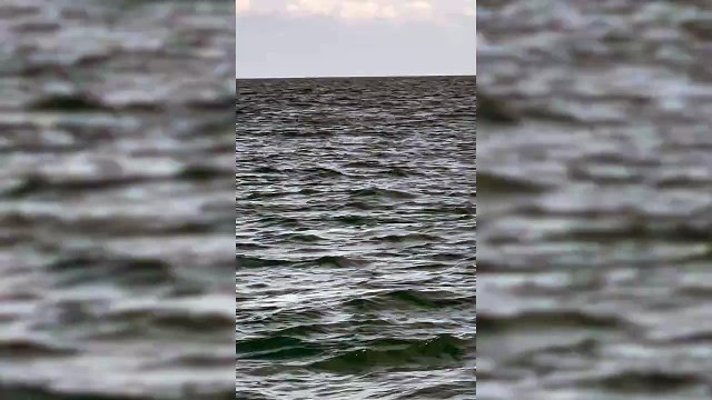 Aberystwyth woman films shark fin in UK waters whilst on fishing trip