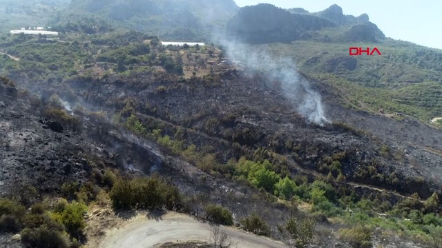 Serikte çıkan yangında 81 hektar alan zarar gördü