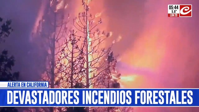 Incendios forestales arrasan con decenas de miles de hectáreas en California