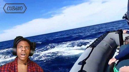 Incredible Moments Caught On Camera