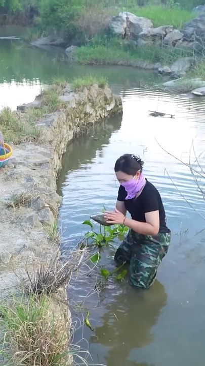Giant clams super sized precious pearls