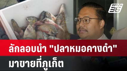 ลักลอบนำ "ปลาหมอคางดำ" มาขายที่ภูเก็ต | เข้มข่าวค่ำ | 29 ก.ค. 67