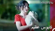 تبنى الزوجان جرو - زواج مصلحة