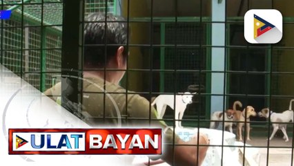 San Juan LGU, tiniyak na mananagot ang mga nag-abandona sa mga hayop na nasa City Pound sa kasagsagan ng bagyo at habagat