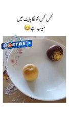 The Adventures of Little Chicken: A Tale of Curiosity and Courage