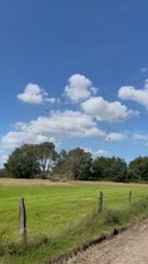 Un phénomène un peu particulier dans la campagne en province d'Anvers