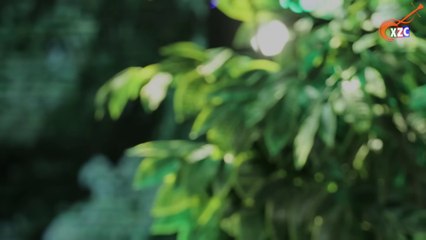 Tân Cổ Gặp Lại Cố Nhân - Hồng Mảnh ft. Bùi Trung Đẳng