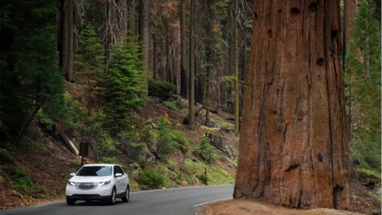 Une fillette de 2 ans meurt après avoir été oubliée dans une voiture par son grand-père, ce que l'on sait