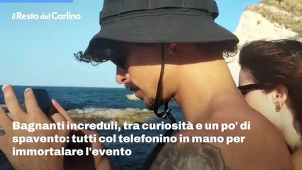 L'invasione di razze dal Passetto alla Riviera del Conero