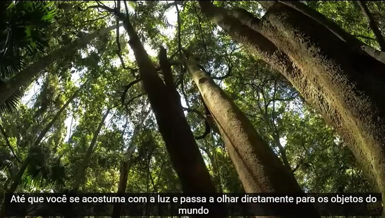 Loos - Mito da Caverna