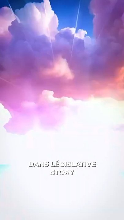 LÉGISLATIVES STORY