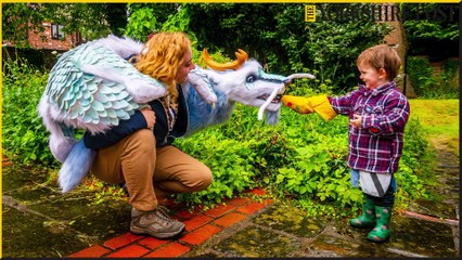 Great Yorkshire Show, York's Dragon Boat Race, Settle Flowerpot Festival: Yorkshire Post July pictures 2024
