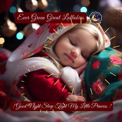 ! Good Night Sleep Tight My Little Princess !