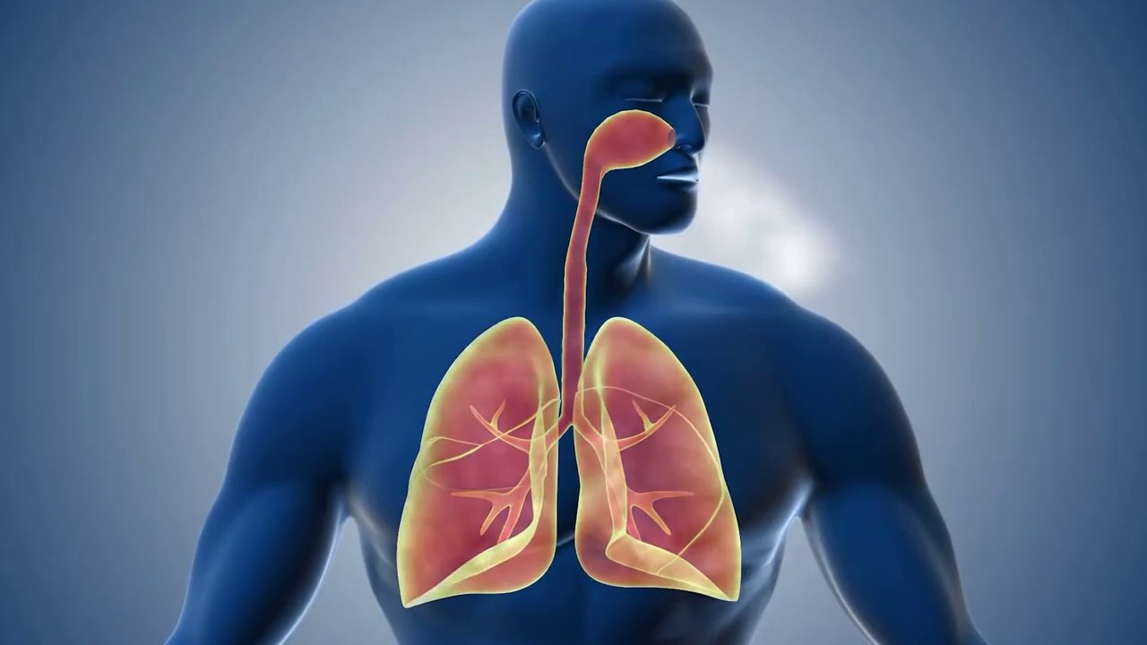 Put This Under Your Armpit and Feel the Difference! Dr. Mandell