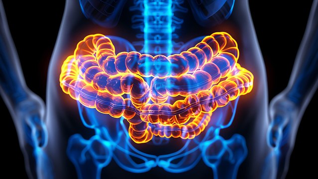 bd-microbiota-sana-columna-sana-cual-es-su-relacion-290724