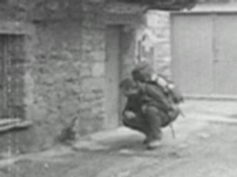 Animal Farm's Compostelle