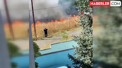 Beylikdüzü'nde otluk alanda yangın: Mahsur kalan kaplumbağayı kurtarıp beslediler...O anlar kamerada