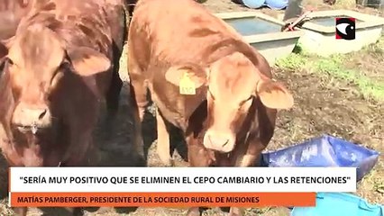 Sería muy positivo que se eliminen el cepo cambiario y las retenciones