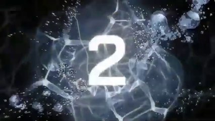 Teamwork and Leadership