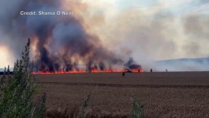 Firefighters battle a field blaze in Hersden