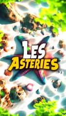 Les Asteries