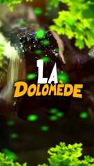 La Dolomède