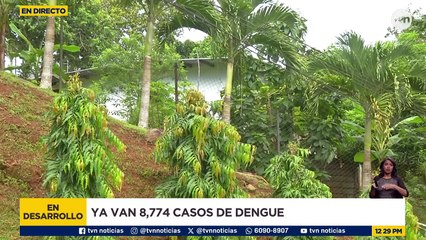 Declaran alerta sanitaria por el alarmante aumento de casos de dengue en el país