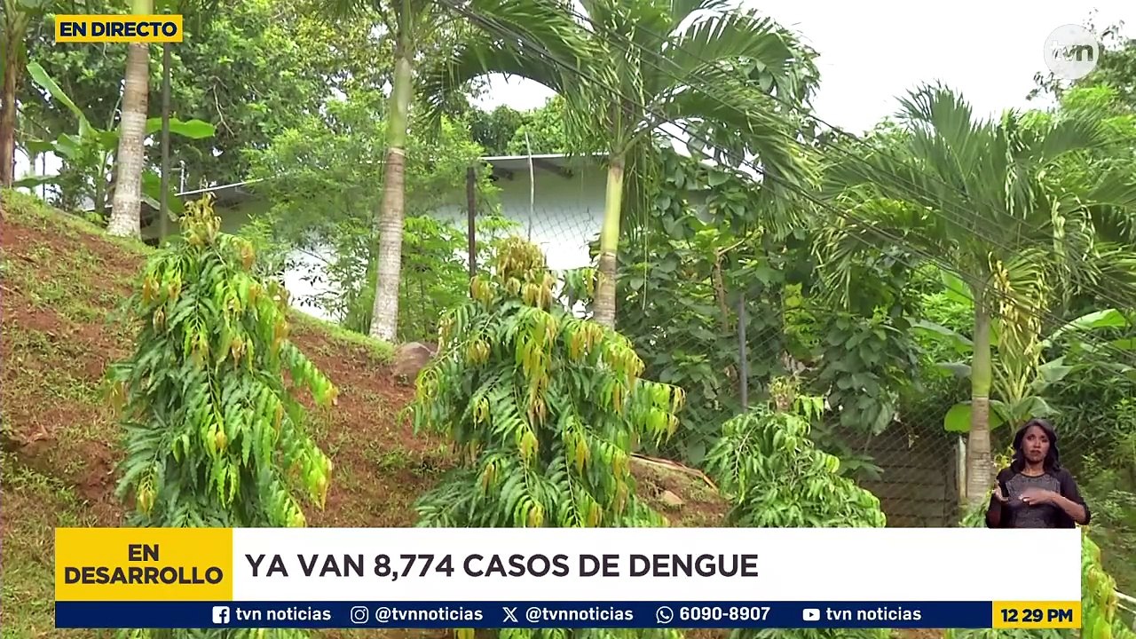 Declaran alerta sanitaria por el alarmante aumento de casos de dengue en el país
