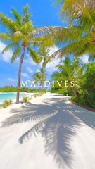 Discover the Maldives 🇲🇻