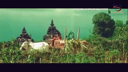 TUTUR TINULAR 1 (HIGH QUALITY)