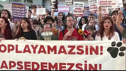 'Katliam Yasası'na karşı halk sokakta: Hayvan katilleri cesaret buldu