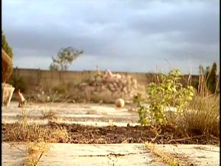 The Cement Garden (1993) ⭐ 7.0 | Drama