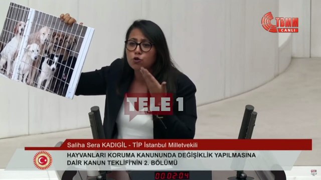 'Katliam Yasası' görüşmeleri! Sera Kadıgil kürsüye çıkınca AKP'li vekiller Genel Kurul'u terk etti