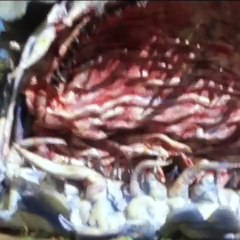 Kamen Rider RX - Episódio 10 - 02