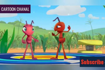 Cartoon Best The Ant Best Ant Story