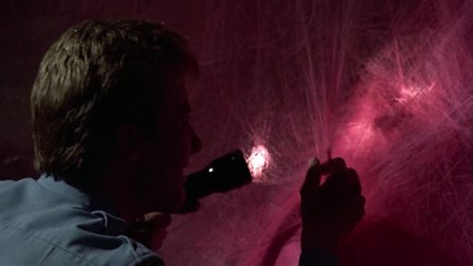 Killer Klowns from Outer Space - 05 - the nose is the weak point