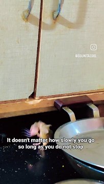 It doest't matter how slowly you go so long as you do not stop