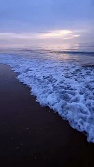 Sea bechs sunset