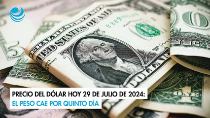 Precio del dólar hoy 29 de julio de 2024: El peso cae por quinto día