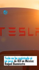 Tesla no ha registrado ni un peso de IED en México: Raquel Buenrostro