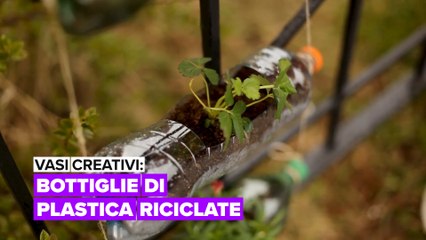 Vasi creativi: Bottiglie di plastica riciclate